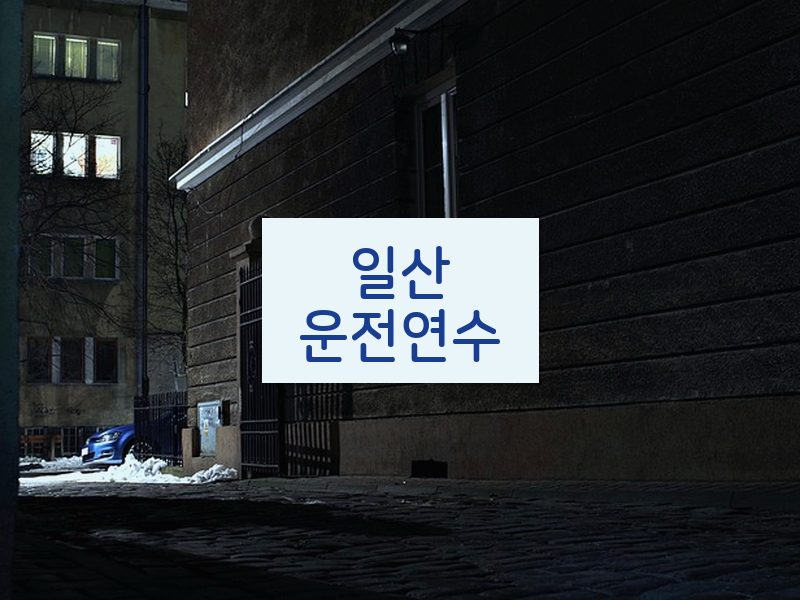 일산운전연수 후기