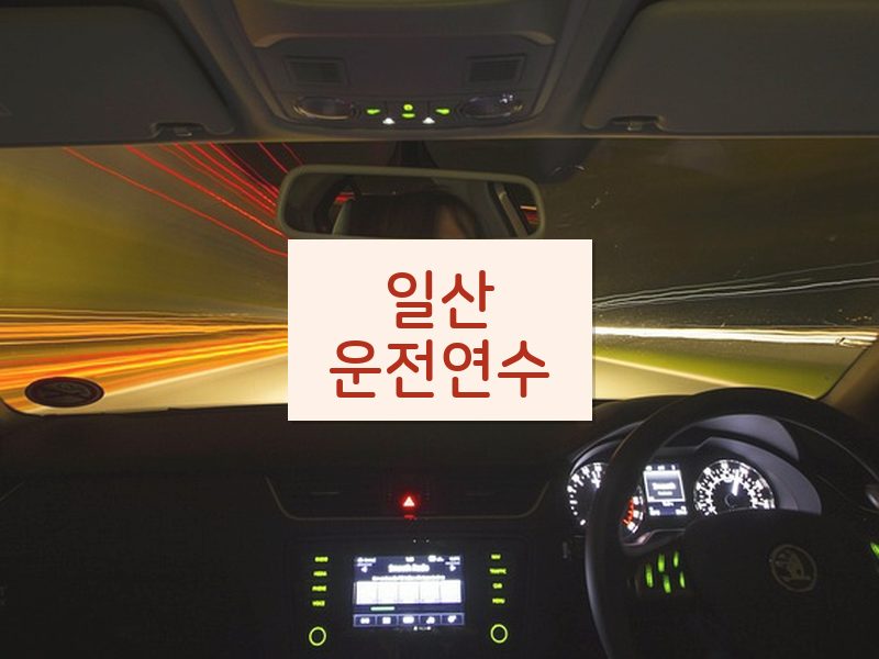 일산운전연수 후기