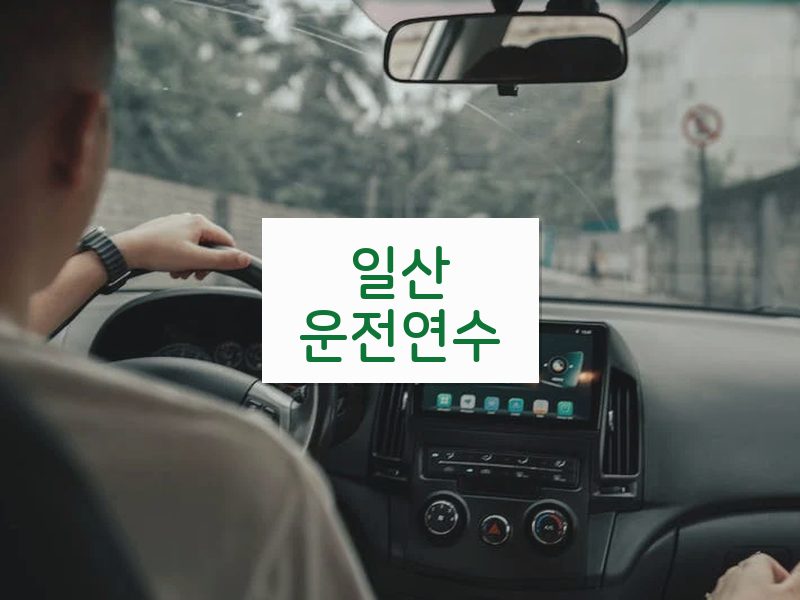 일산운전연수 후기