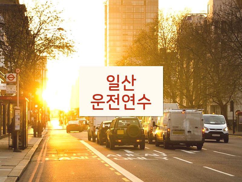 일산운전연수 후기