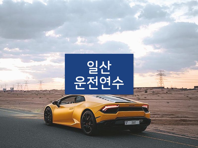 일산운전연수 후기