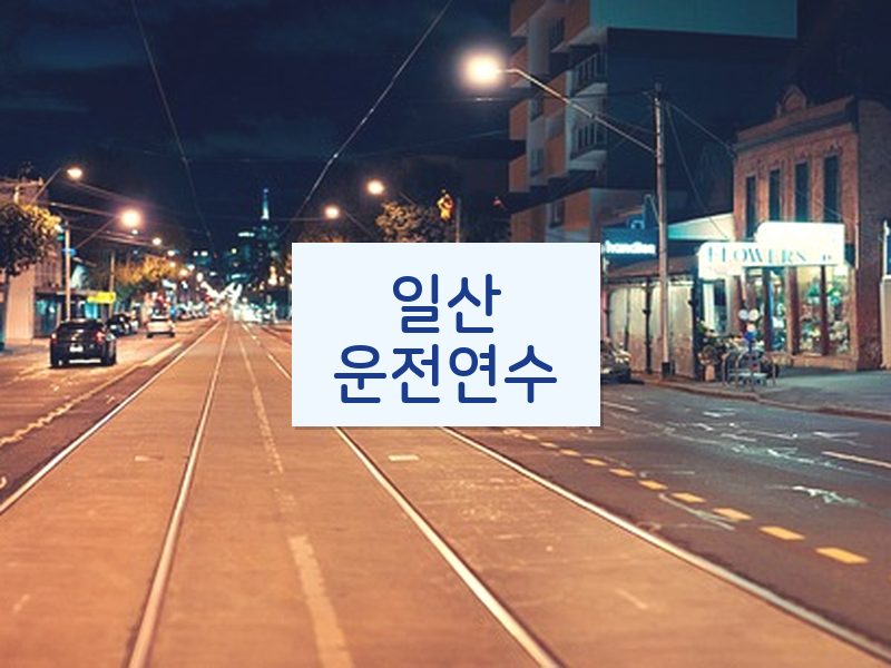 일산운전연수 후기