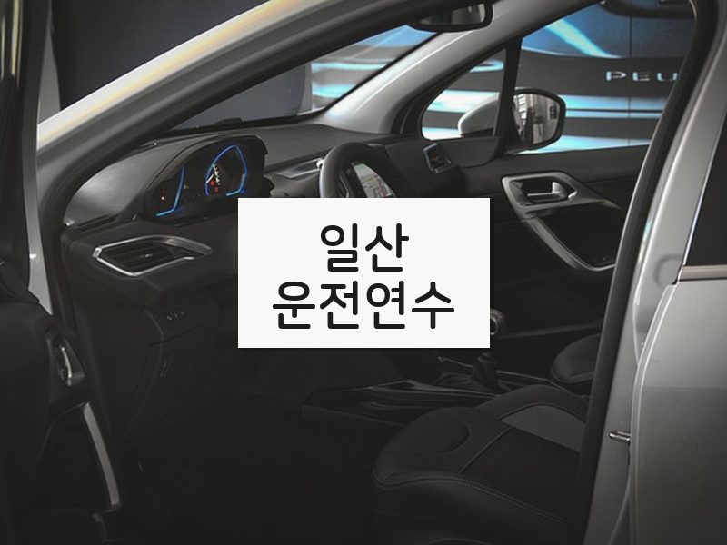 일산운전연수 후기