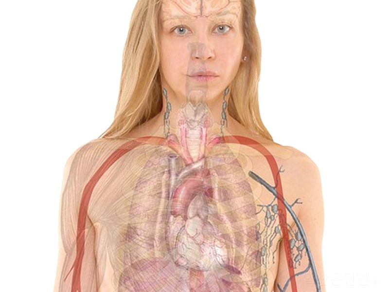 일산운전연수 후기