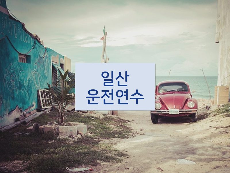 일산운전연수 후기