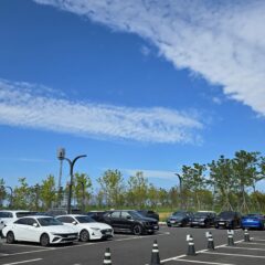 5년 만에 운전 시작했어요