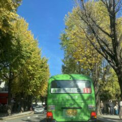 가성비 최고 코스