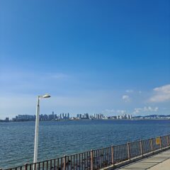 운전 배우는 건 운좋은 일