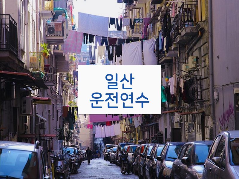 일산운전연수 후기