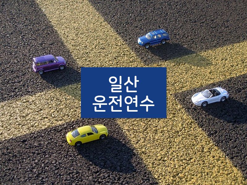 일산운전연수 후기