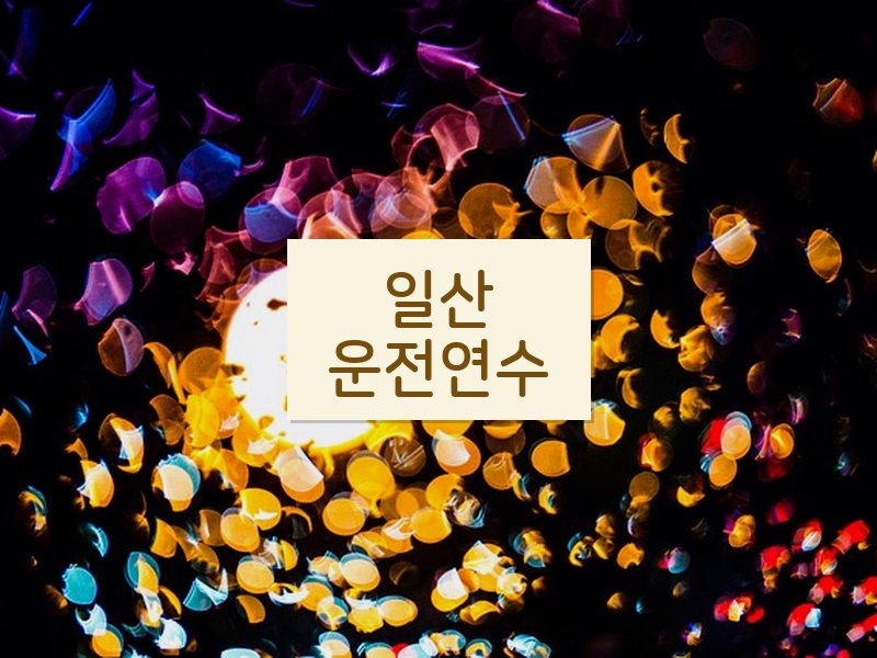 일산운전연수 후기
