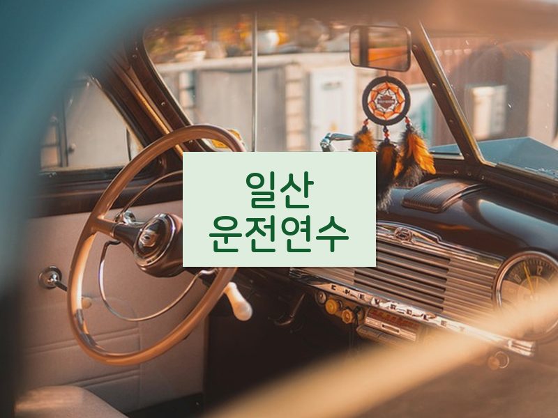 일산운전연수 후기