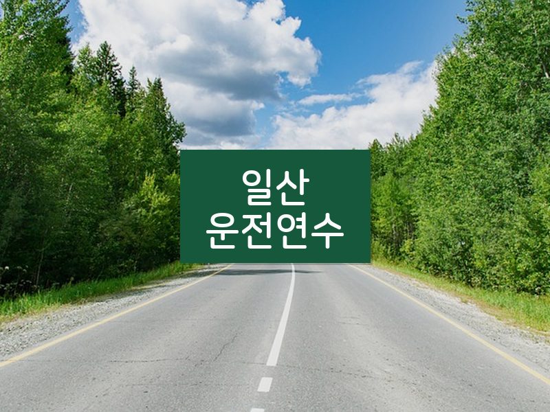 일산운전연수 후기