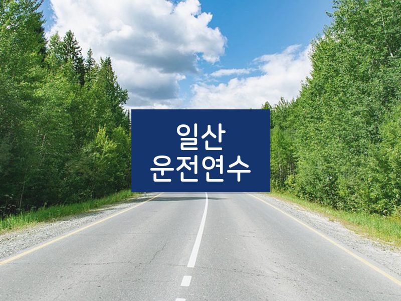 일산운전연수 후기