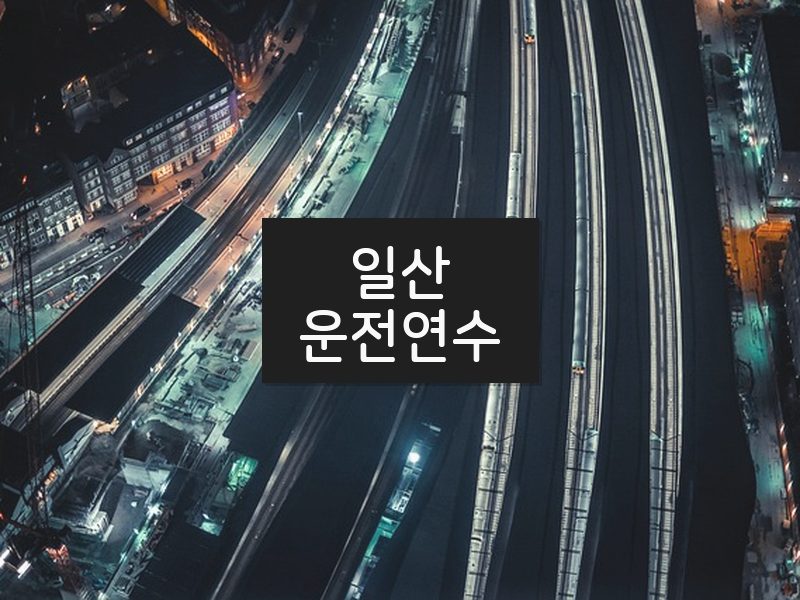 일산운전연수 후기