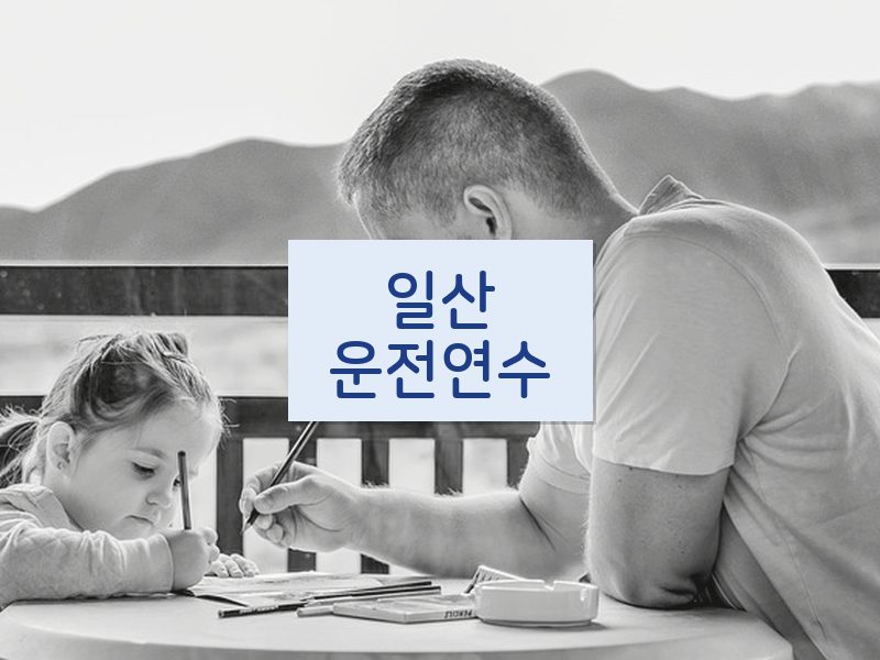 일산운전연수 후기