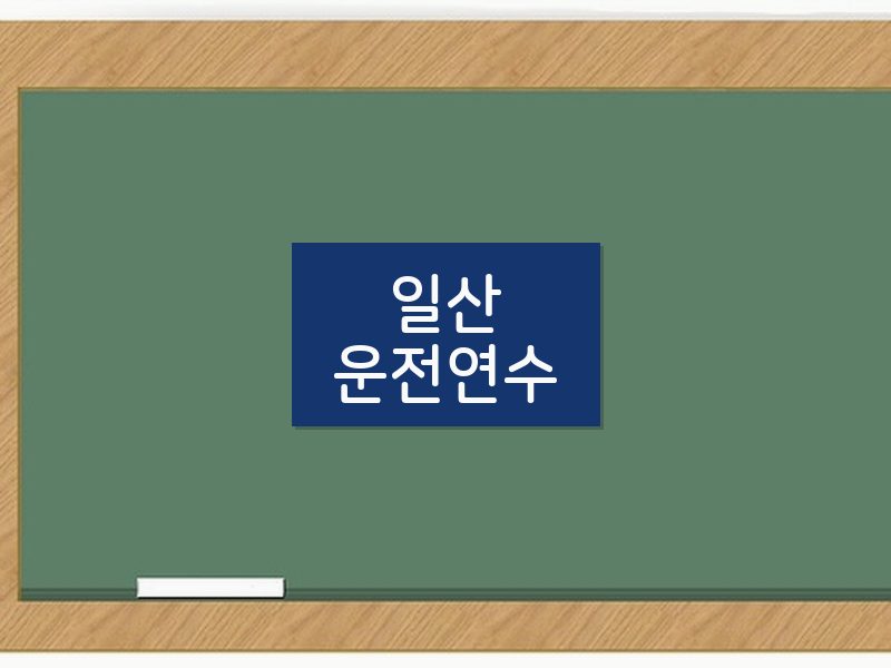 일산운전연수 후기