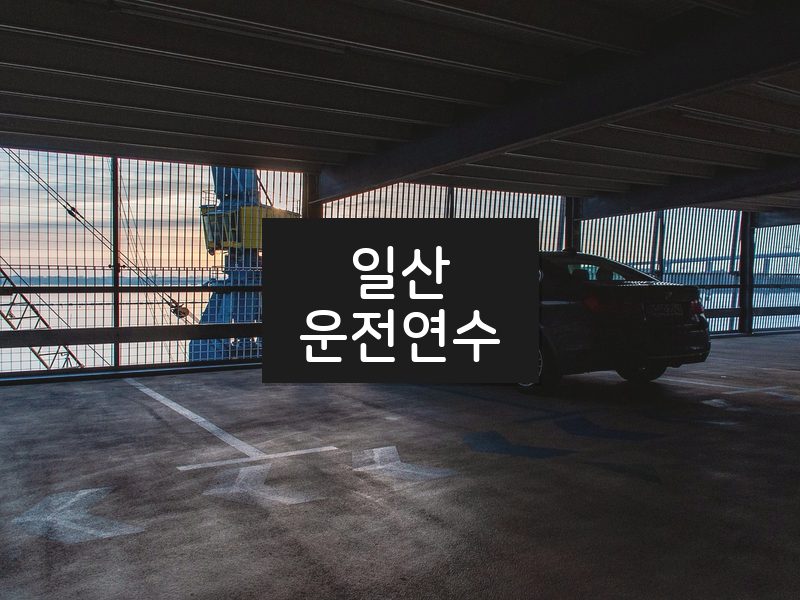 일산운전연수 후기