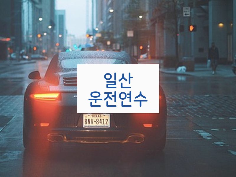 일산운전연수 후기