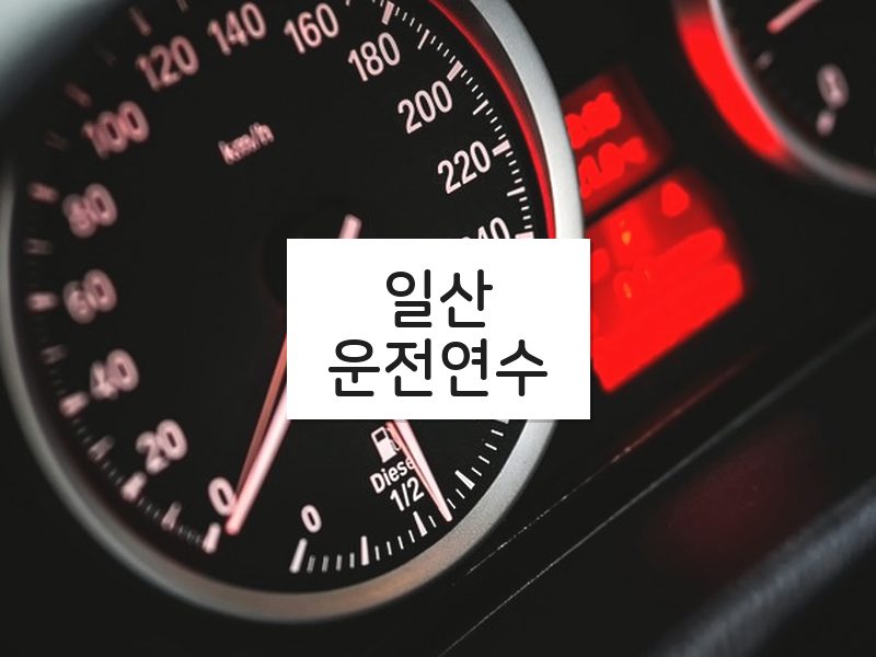 일산운전연수 후기