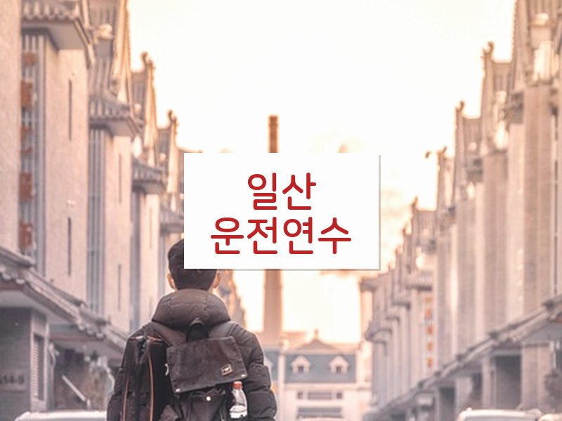 일산운전연수 후기