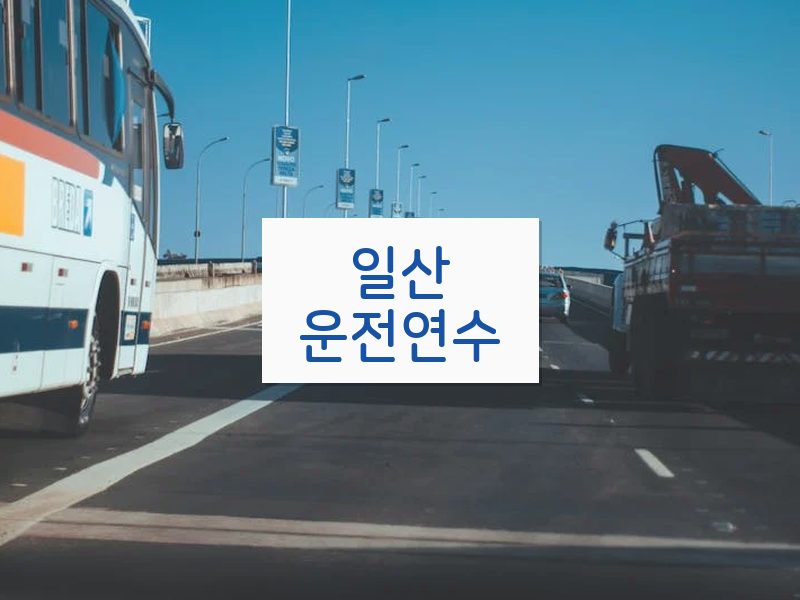 일산운전연수 후기