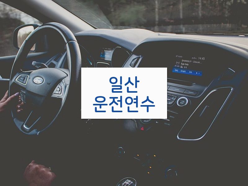 일산운전연수 후기