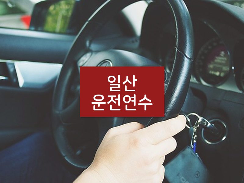 일산운전연수 후기