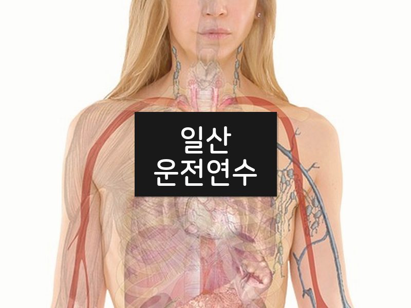 일산운전연수 후기