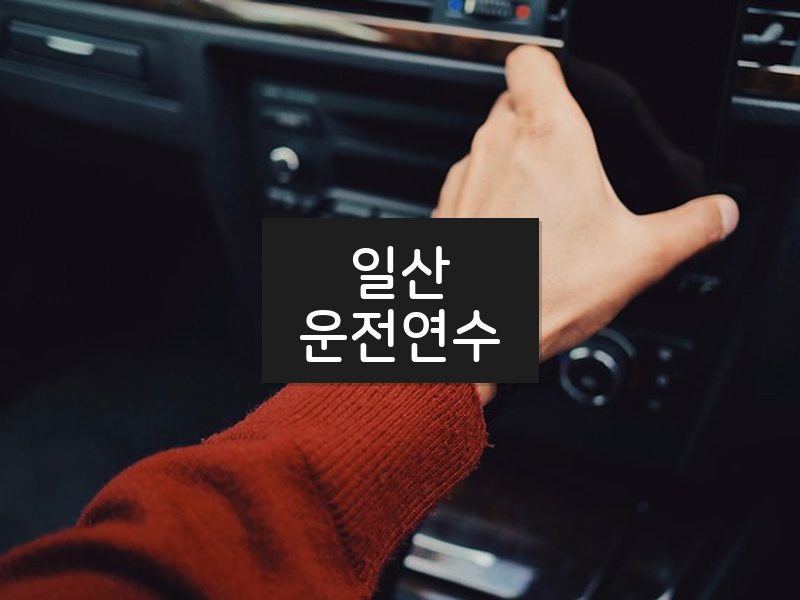 일산운전연수 후기