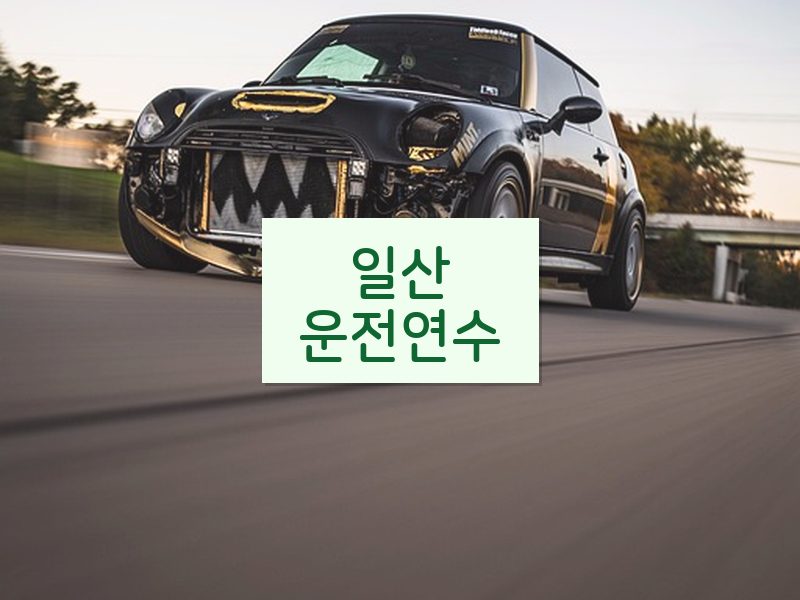 일산운전연수 후기