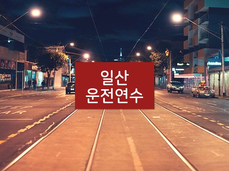 일산운전연수 후기