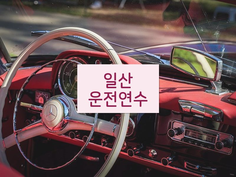 일산운전연수 후기