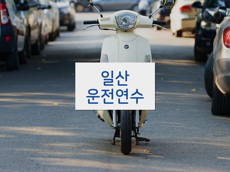 일산운전연수 후기