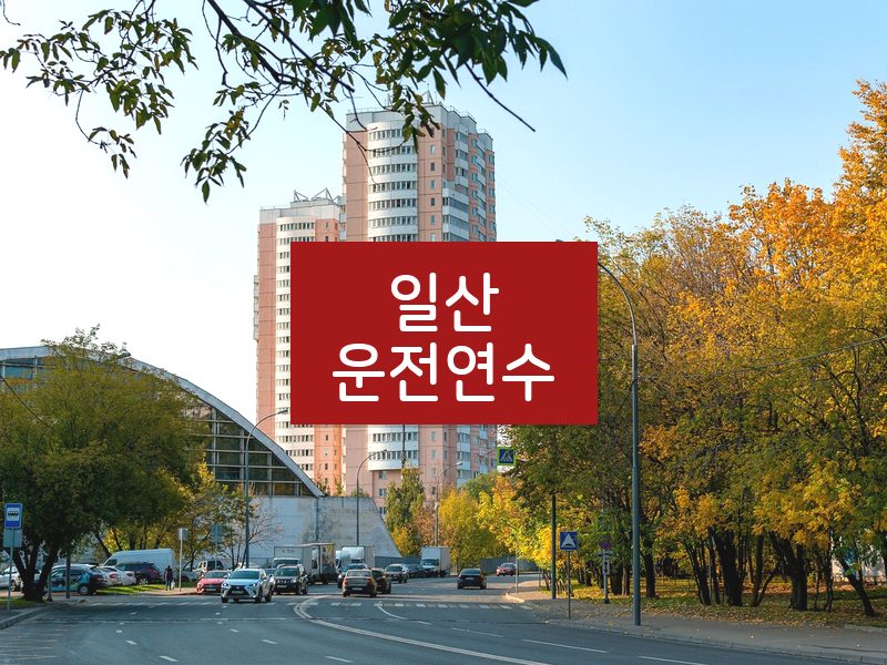 일산운전연수 후기