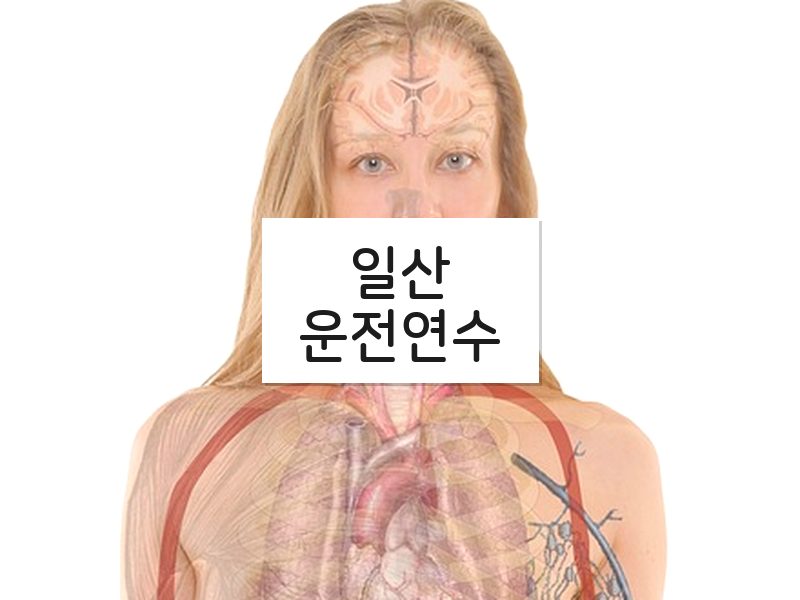 일산운전연수 후기
