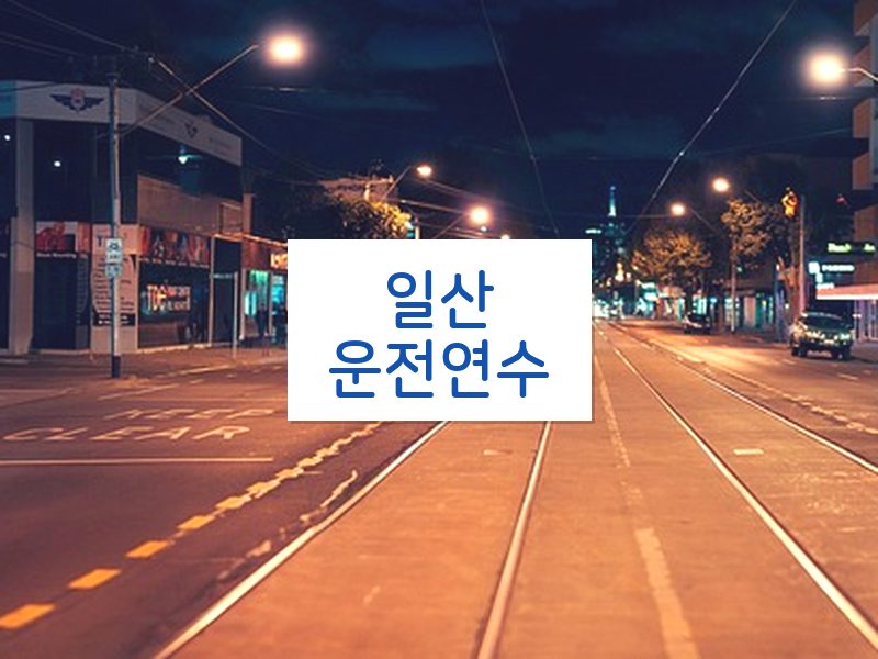 일산운전연수 후기