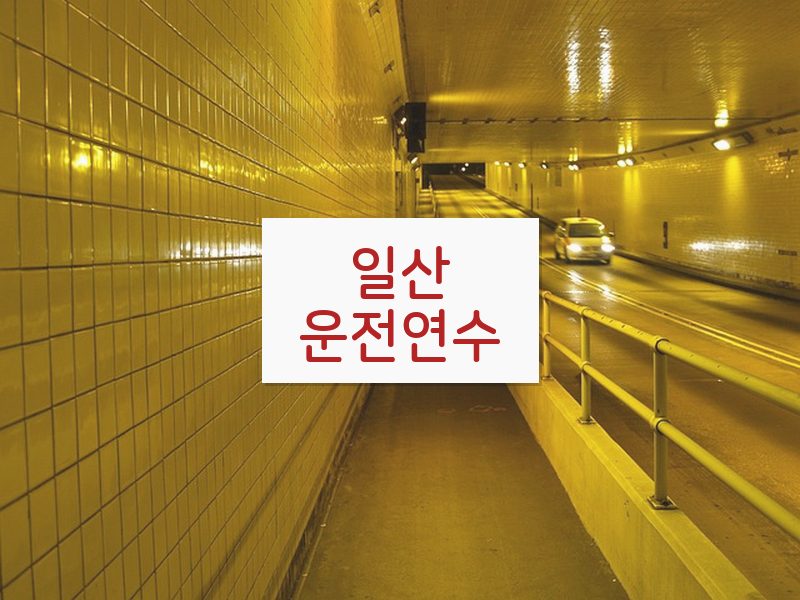 일산운전연수 후기