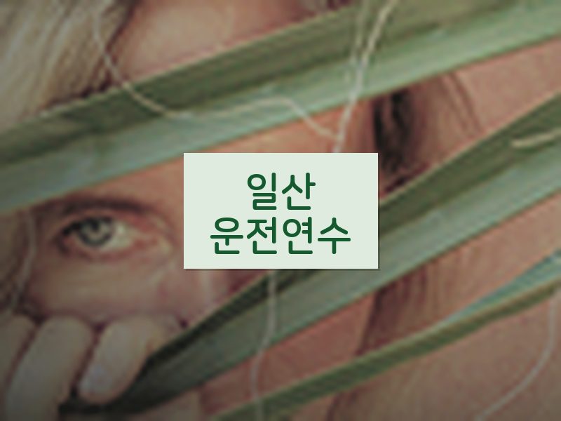 일산운전연수 후기
