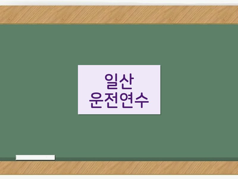 일산운전연수 후기