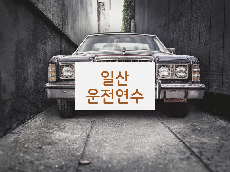 일산운전연수 후기