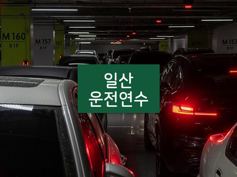 일산운전연수 후기