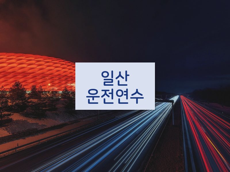 일산운전연수 후기