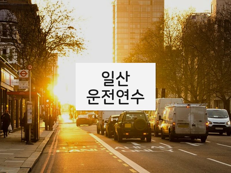 일산운전연수 후기