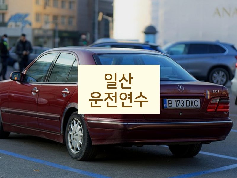 일산운전연수 후기
