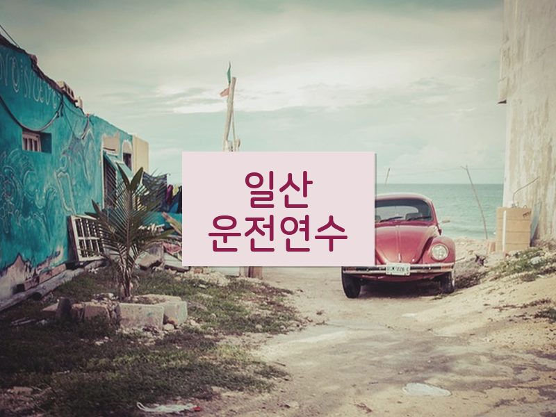 일산운전연수 후기