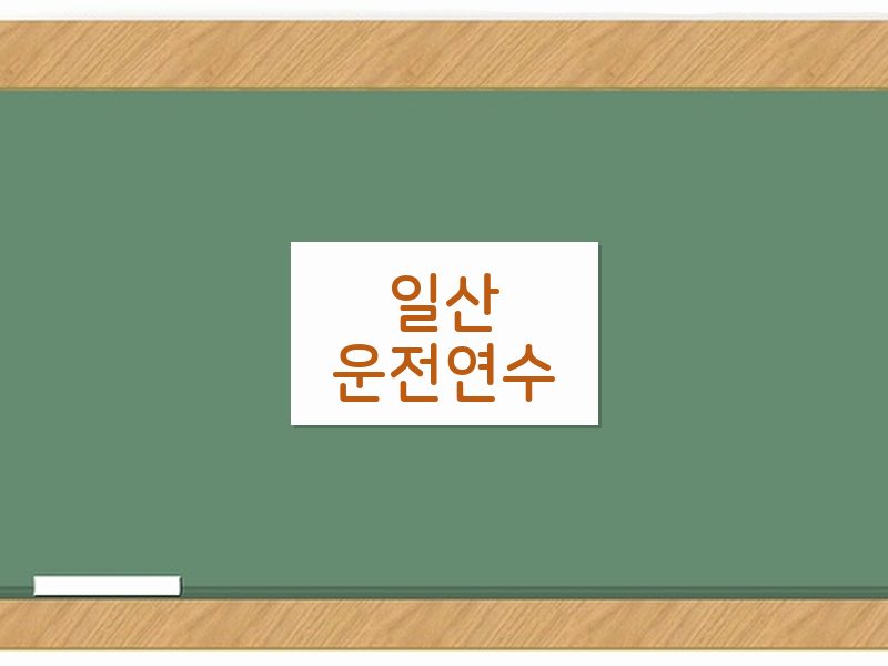 일산운전연수 후기