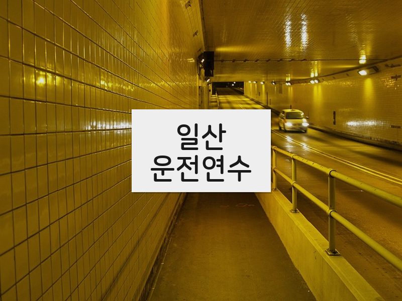 일산운전연수 후기
