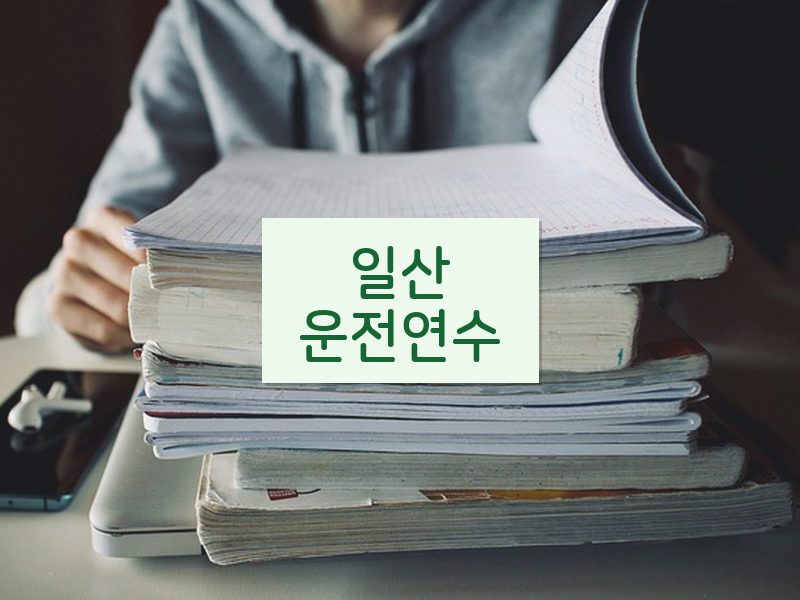 일산운전연수 후기