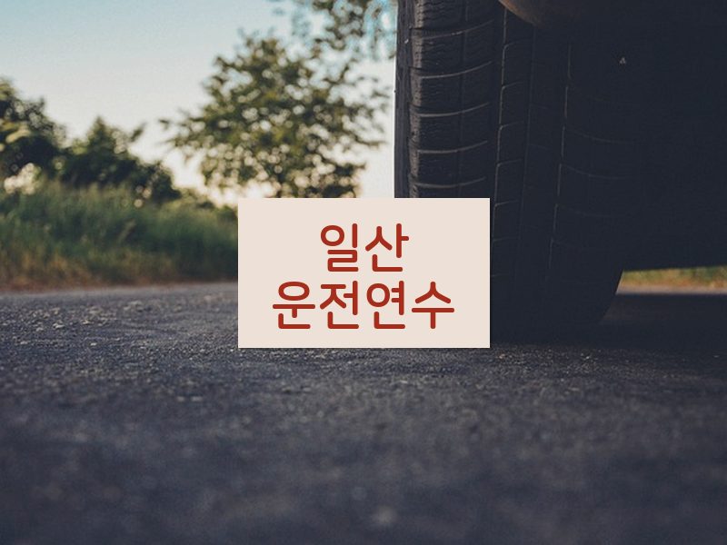 일산운전연수 후기